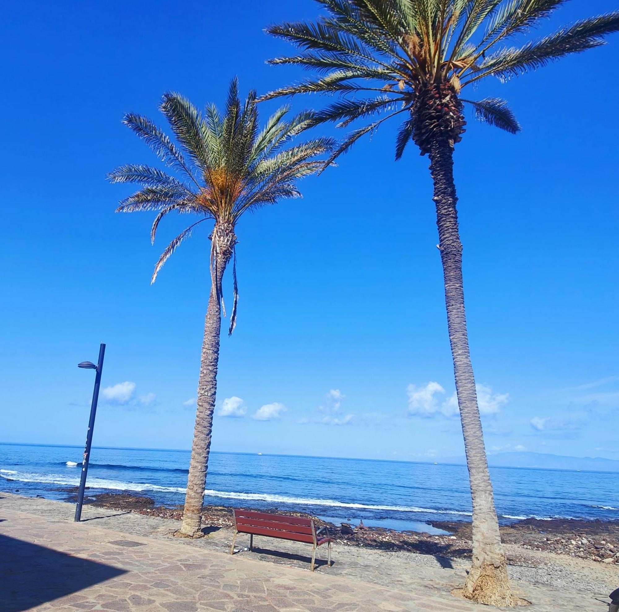 Parque Santiago 2 En Playa De Las Americas Arona  Exterior photo